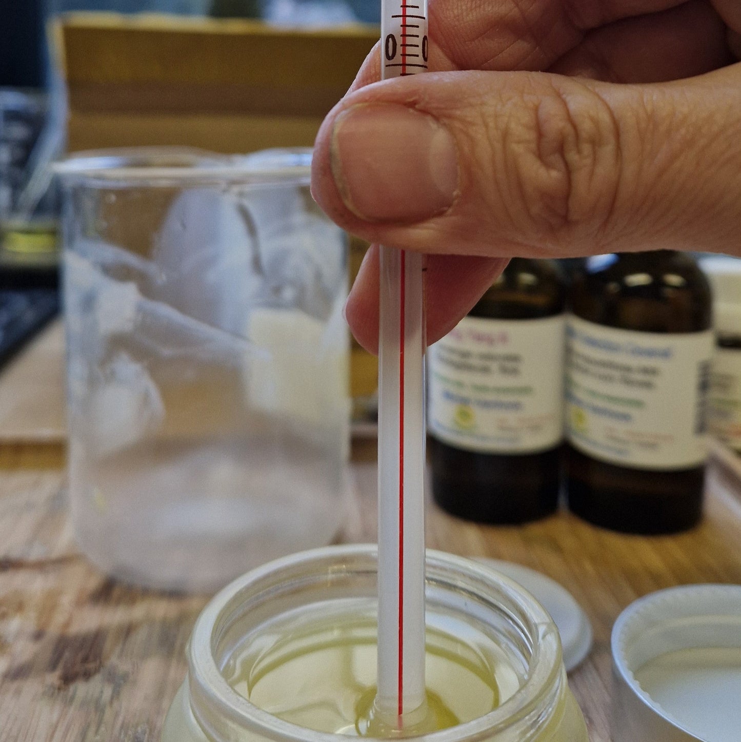 REFILL & RECHARGE: DIY PAKKET goudsbloemzalf/toverzalf - Kruidenprint
