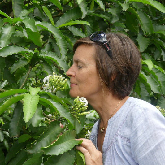 Therapeutische aroma massages - Kruidenprint